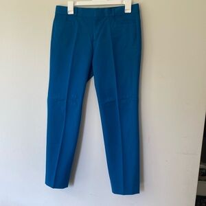 Banana Republic Sloan Fit Pants (14)